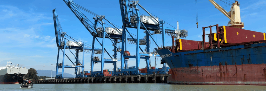 Become a partner of the Fraser River Sturgeon Conservation Society