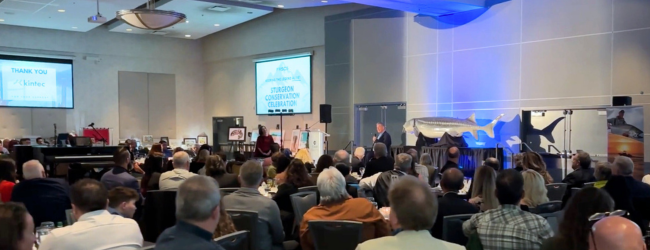 Sturgeon Conservation Celebration