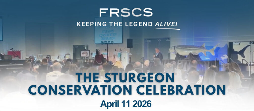 The Sturgeon Conservation Celebration