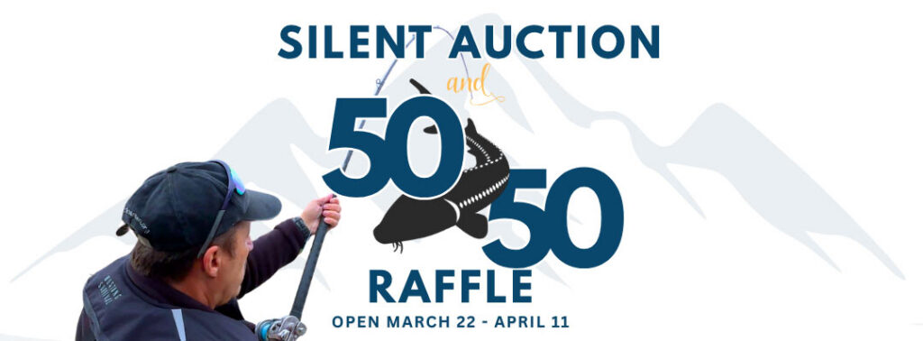 Silent Auction and 50 50 Raffle